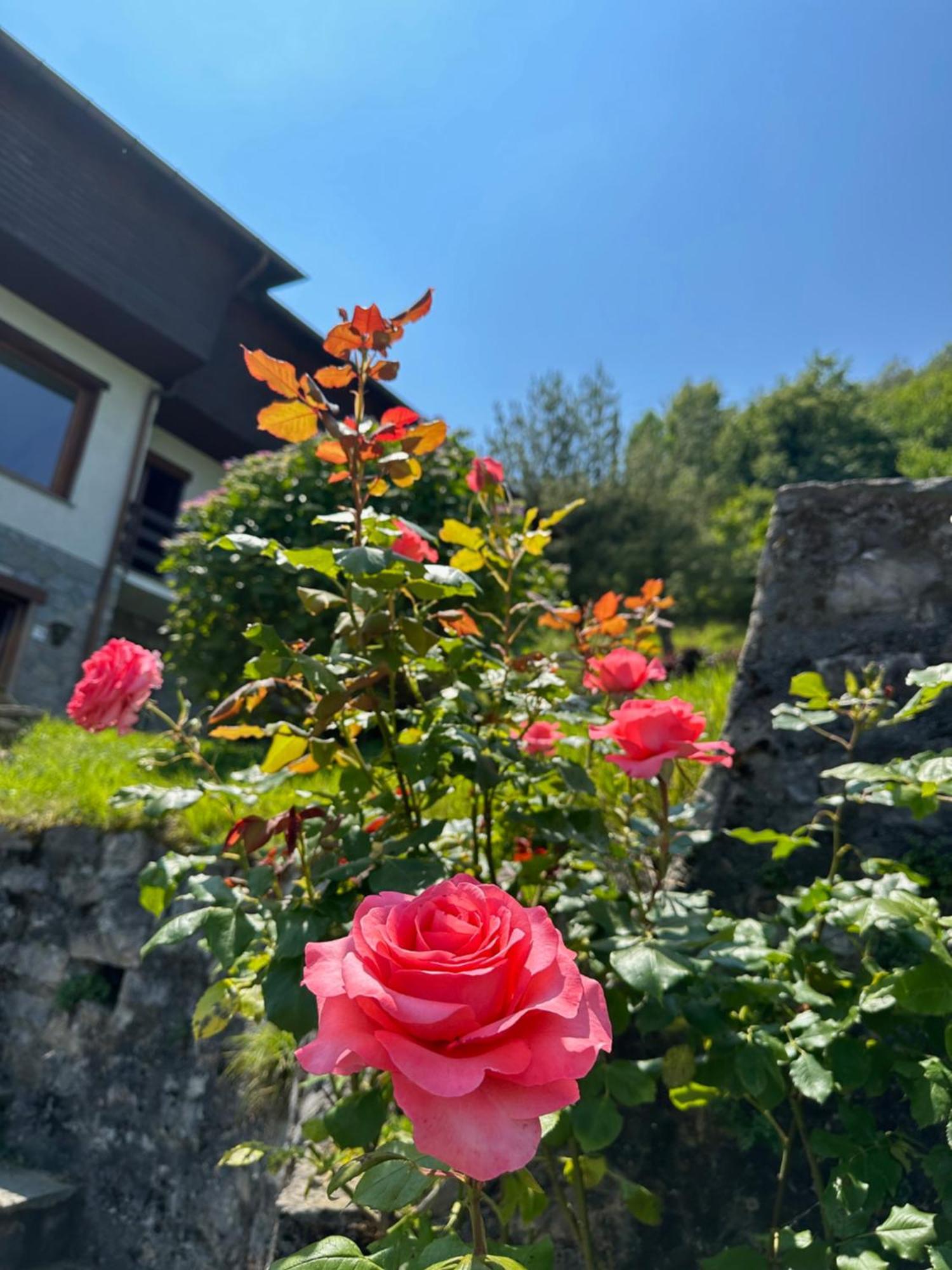 Villa D'Alba Guest House Civenna Exteriör bild